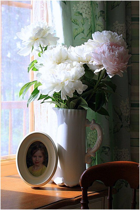 пионы,утро пионы-2photo preview