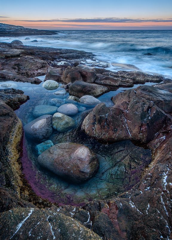 Северный цветphoto preview