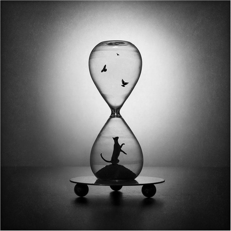 Стеклянные историиphoto preview