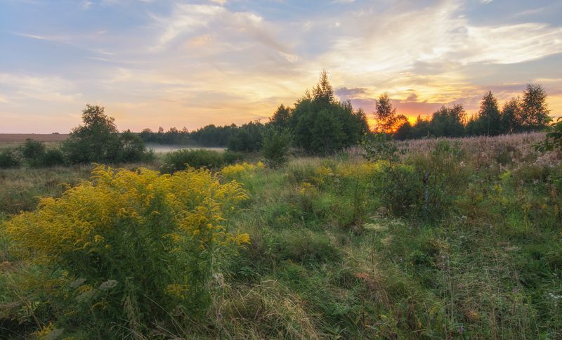 Летний вечерphoto preview