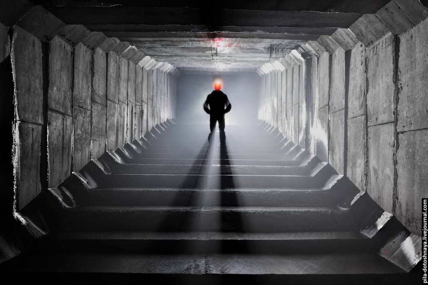 Diggers. Автор: Анна Аринова , Анна Аринова