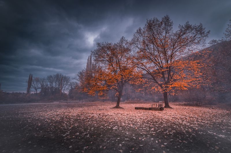autumn, fall, landscape, trees, forest, woods, bulgaria, colors, nature, fog, mist, rain, october, sky, clouds Autumn Meetingphoto preview