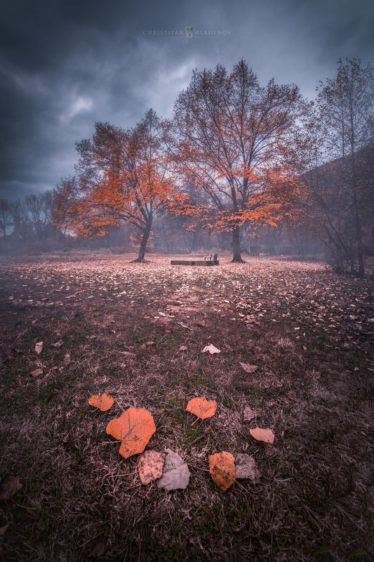 autumn, fall, landscape, trees, forest, woods, bulgaria, colors, nature, fog, mist, rain, october, sky, clouds Fall & Lovephoto preview