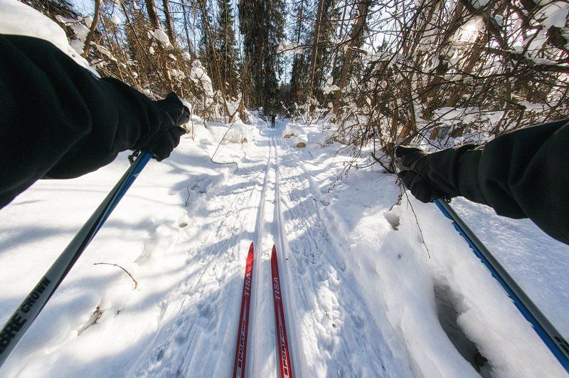 В лесу хорошо :) фото превью