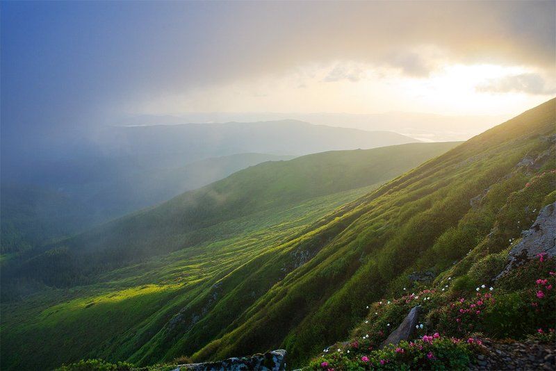 Світанок фото превью