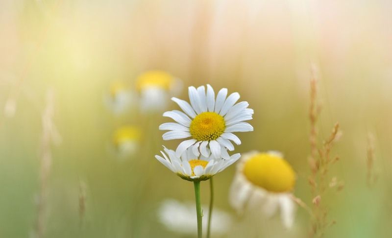 Рано утром поутруphoto preview