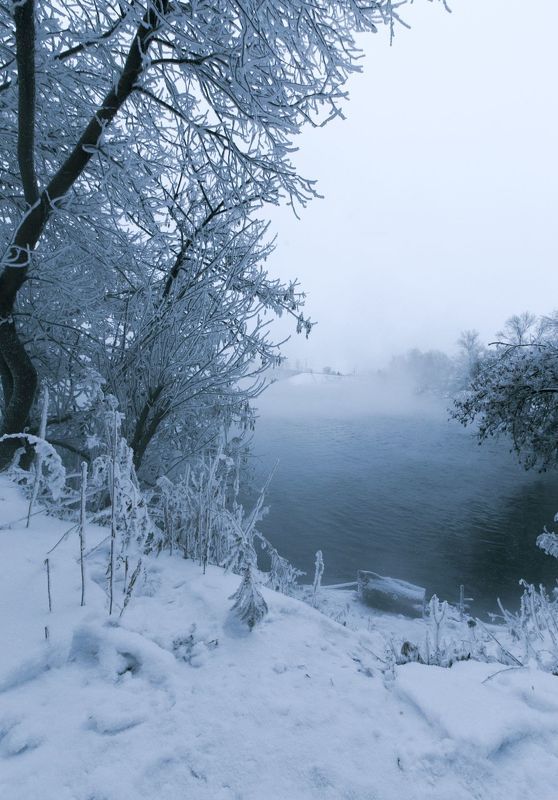 зима, снег, туман, утро, горячка, пейзаж, красота, winter, snow, mist, morning, landscape, beauty Горячкаphoto preview