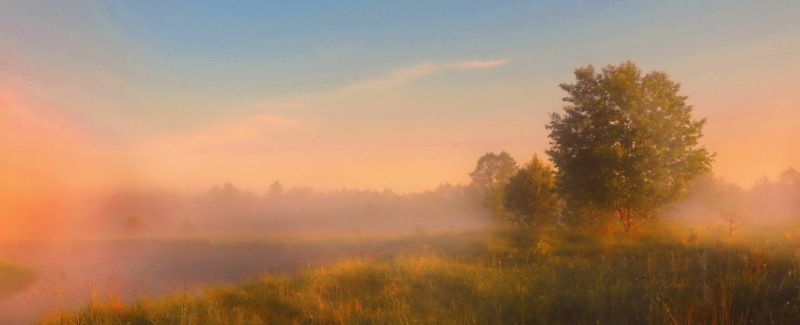 неман,утро, туман, солнце Туманы Неманаphoto preview