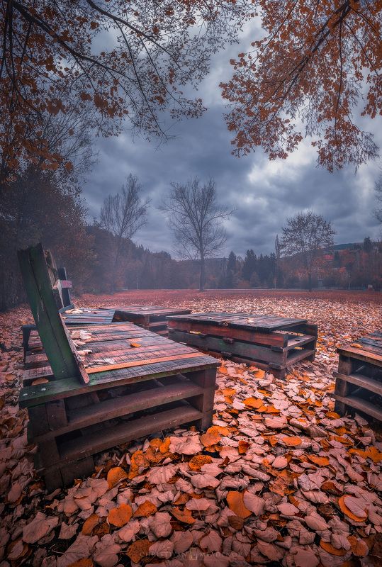 autumn, fall, landscape, trees, forest, woods, bulgaria, colors, nature, fog, mist, rain, october, sky, clouds ColorFall Dayphoto preview