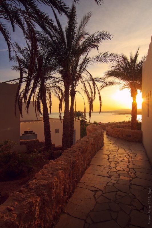 закат, Шарм-эш-Шейх, вечер, тепло, море, красное море,   Всем Тепла!photo preview