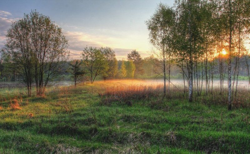 Майское утроphoto preview