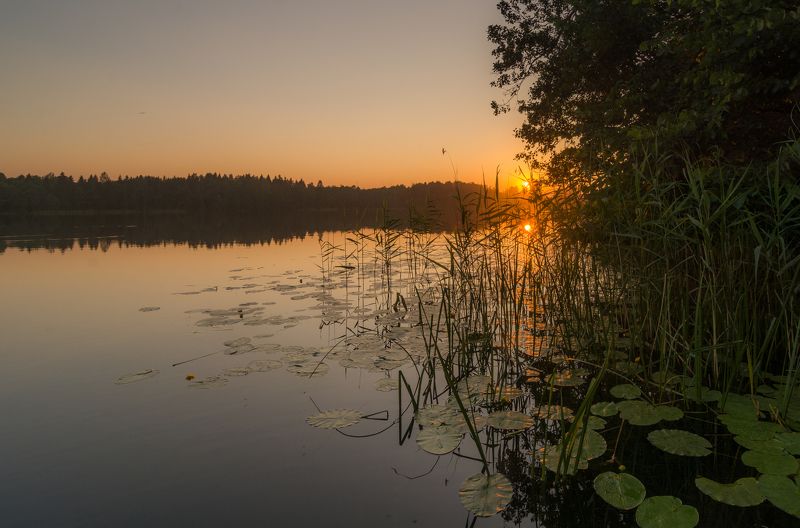 закат беларусь озеро солнце золото отражение лес вода зеркало На закате дняphoto preview