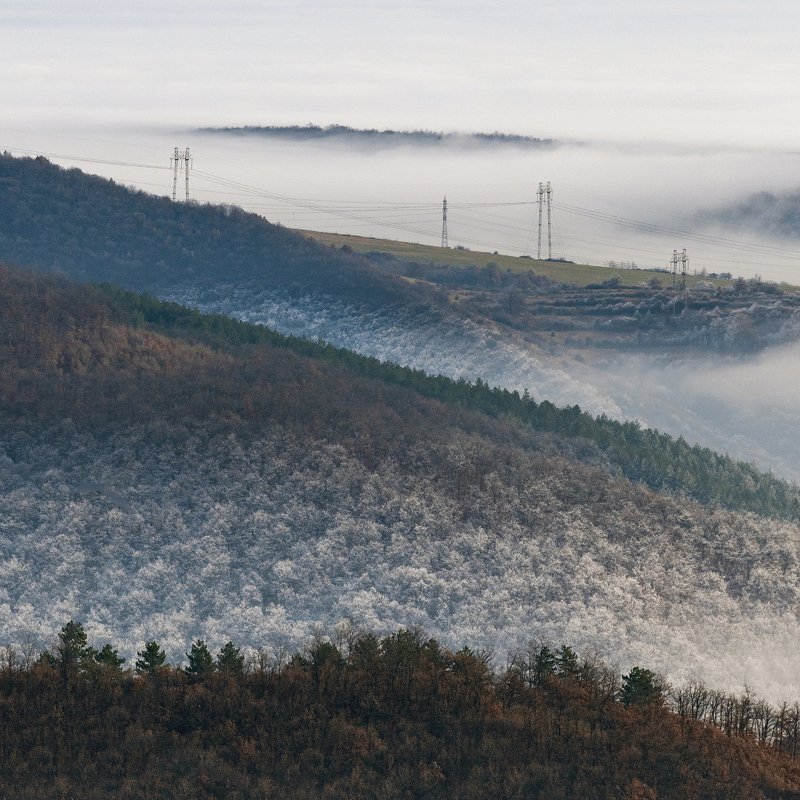 пейзаж, гора, лес, snow, nature, landscape, mountain, forest, trees,  Туманныйphoto preview