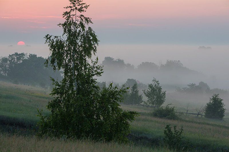 Туманное утро на околице.photo preview