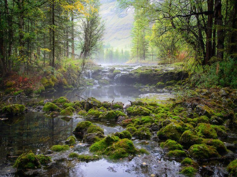 В гостях у сказкиphoto preview