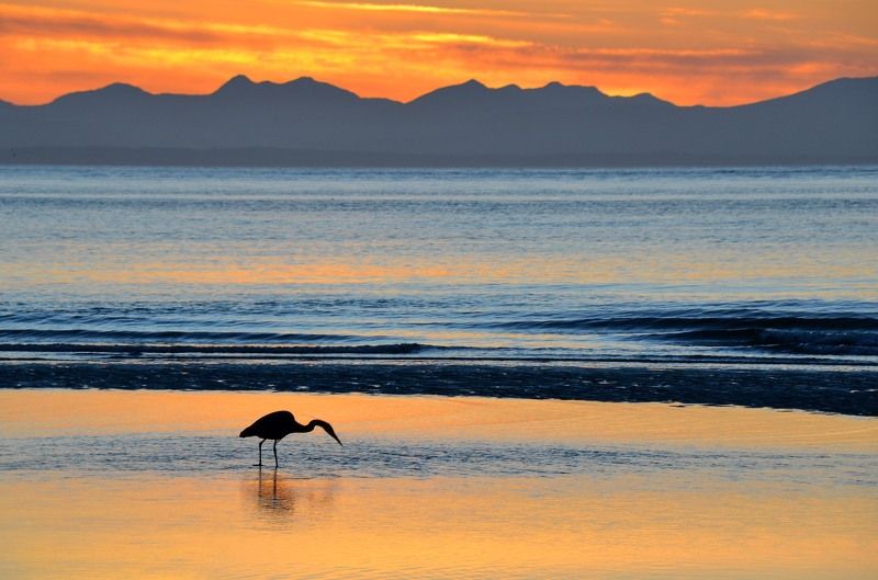 Вечерний клевphoto preview