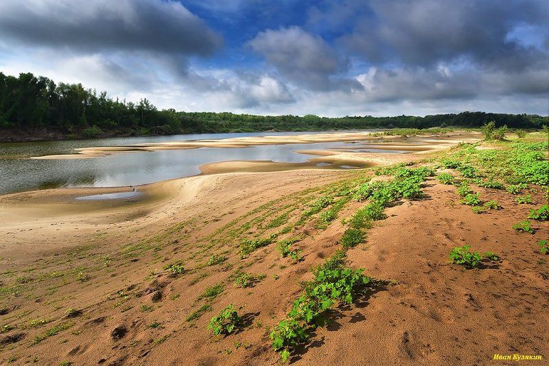 ерик, Ахтуба, репейник, протока, отмели, песчаные косы, пляж, Харабали, Волго-Ахтубинская пойма, фототур, путешествие на хаусботе Зеленая дорожка к пойменным лесамphoto preview