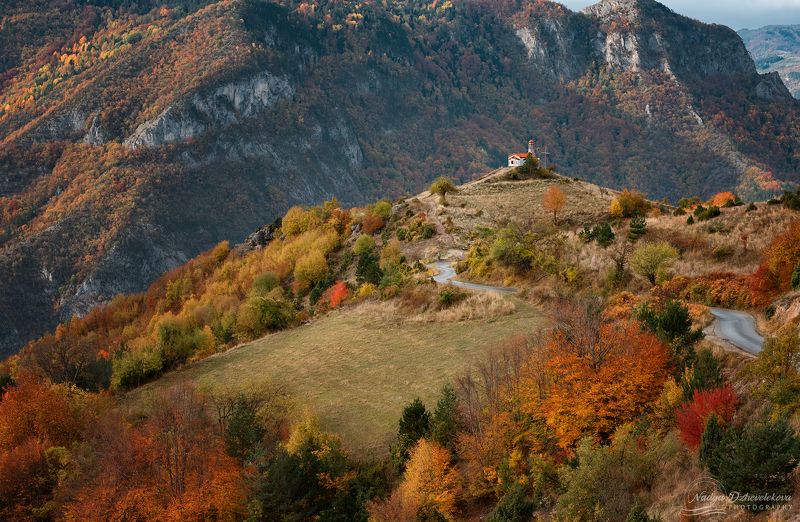 Autumn moodphoto preview