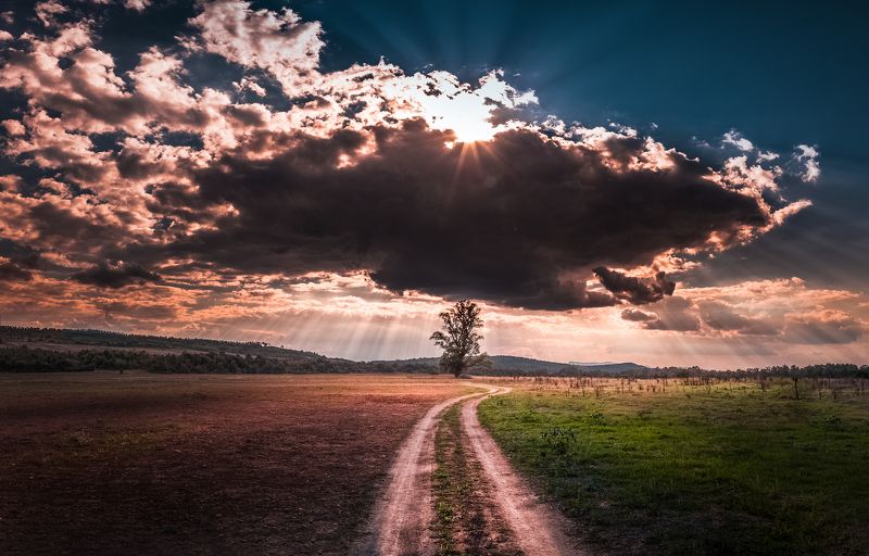 landscape, autumn, summer, road, field, clouds, sky, rays, sunrays, bulgaria, nature, tree Changing Seasonsphoto preview