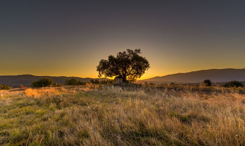 landscape, autumn, summer, field, clouds, sky, rays, sunrays, bulgaria, nature, tree, sunset, plana, mountain, st. cyprian Tree of Lifephoto preview