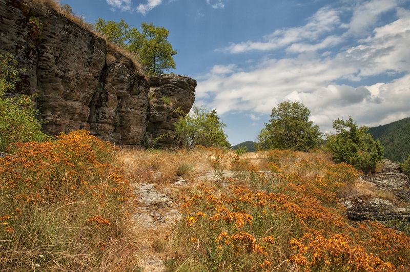 ЩутГрад - Ворота в Космосаphoto preview