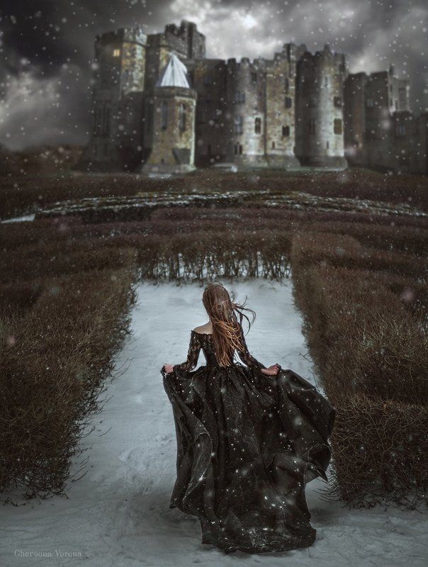 fineart The light in your windowphoto preview