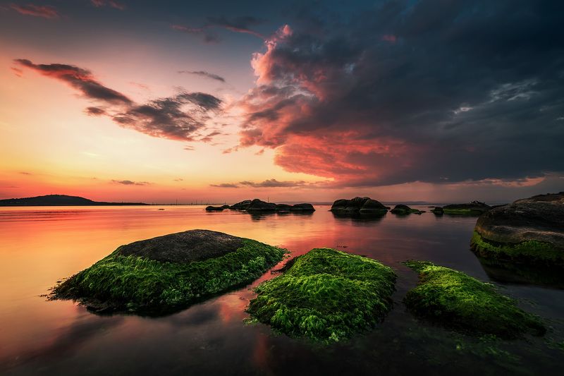 sunset, sea, rock, mood, landscape, seascape, green, seaweed Sunset on firephoto preview