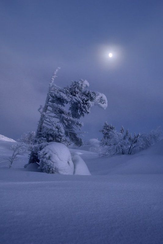 кольский полуостров, мурманская,кандалакша Вечер на гореphoto preview