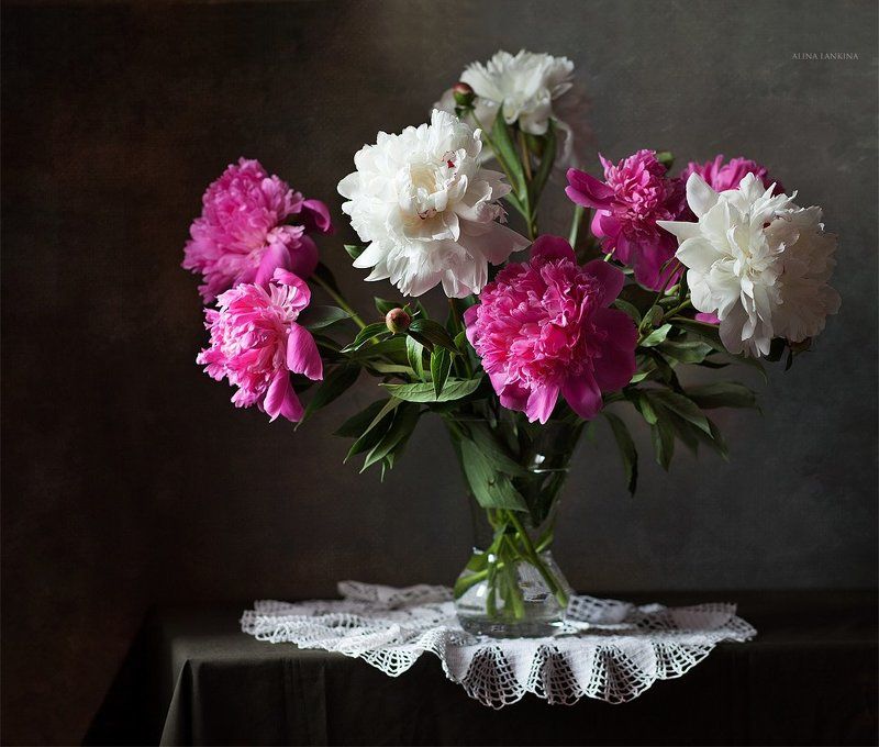 натюрморт, фотонатюрморт, свет, алина ланкина, пионы, цветы, лето Просто пионыphoto preview