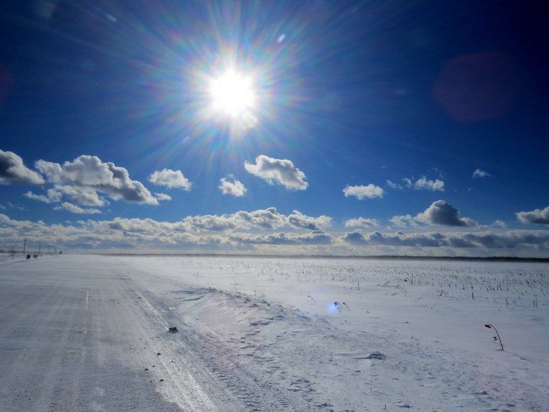 листопад Весенний воздух.photo preview