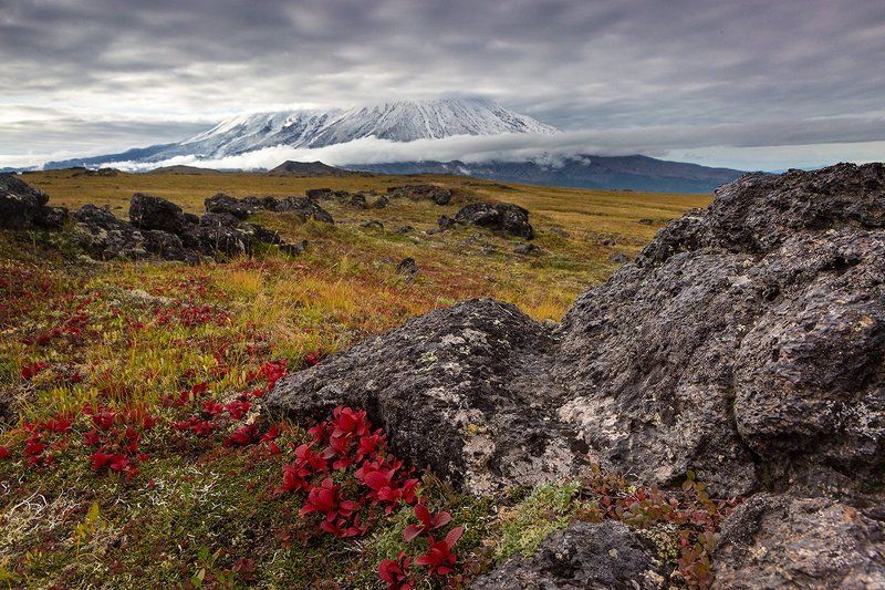 Камчатка, природа Осенняя Камчаткаphoto preview