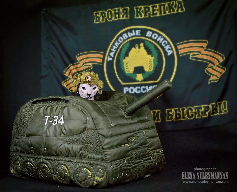 Защитник Котечества))photo preview