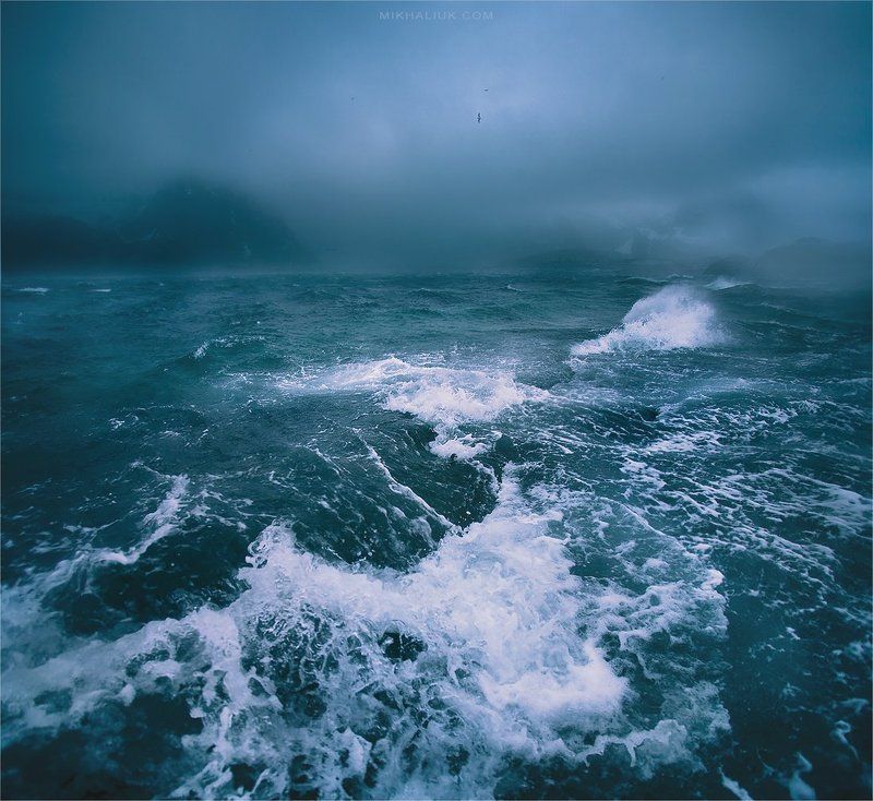 Гордо реет Буревестникphoto preview