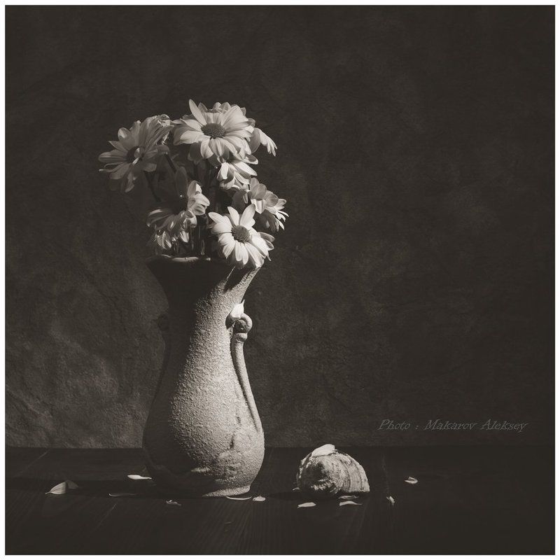 Ромашкиphoto preview