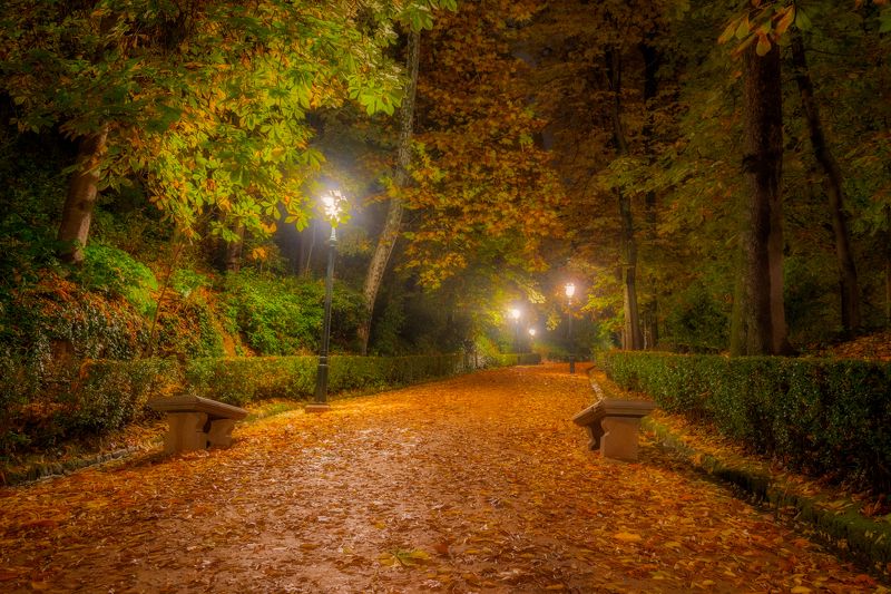 spain, grenada, andalusia, alhambra. Ночью в старом парке.photo preview