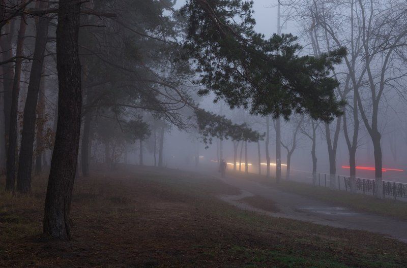 туман, город Седой туман сошел на городphoto preview