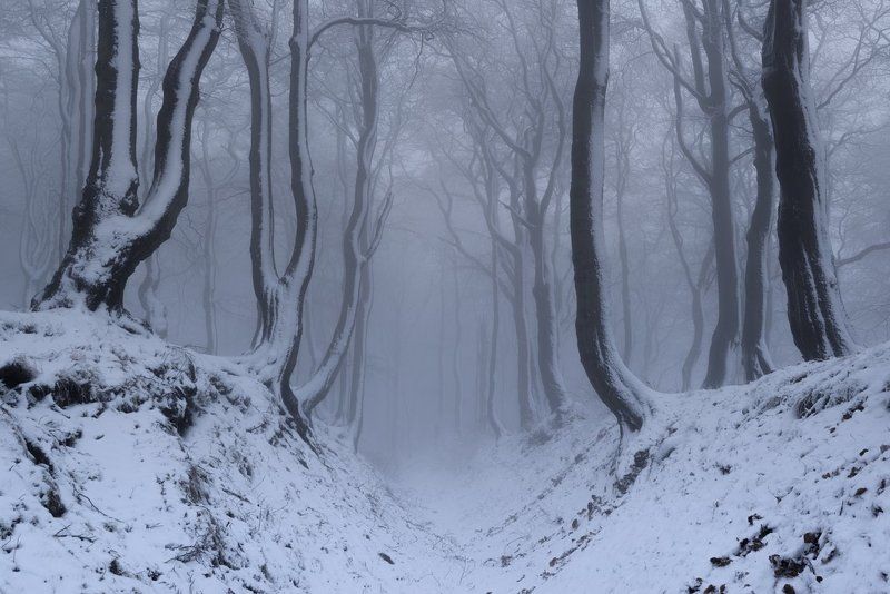 czech republic, ore mountains, frost, winter, snow, beautiful, travel, europe, cold, mist, north bohemia Winter in the Ore Mountainsphoto preview