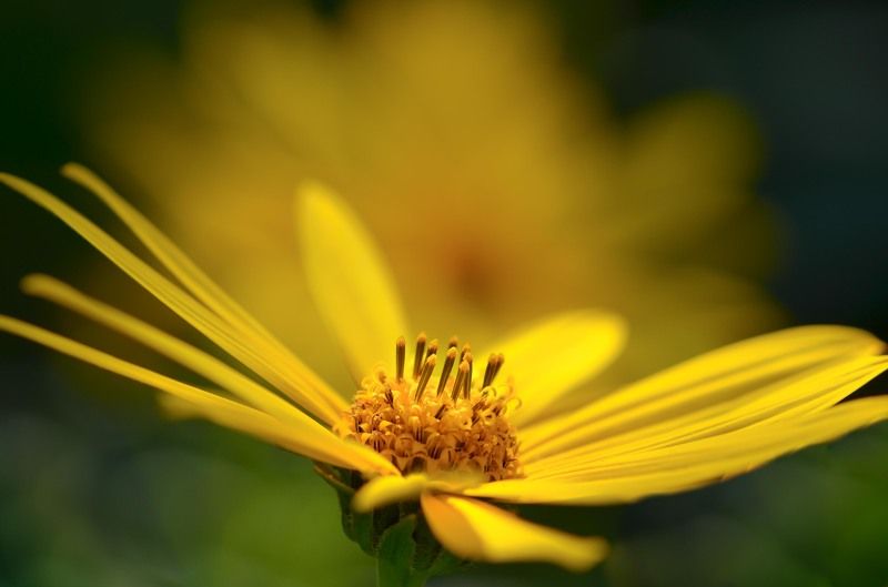 С душой нараспашкуphoto preview