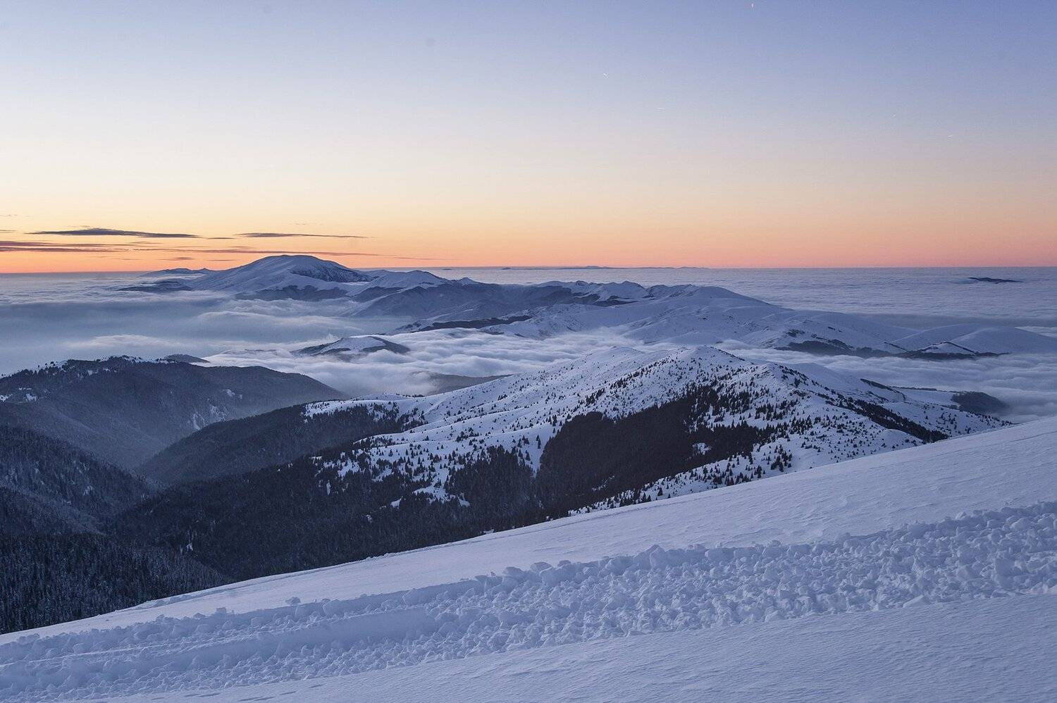 :). Автор: Иван Георгиев , Иван Георгиев