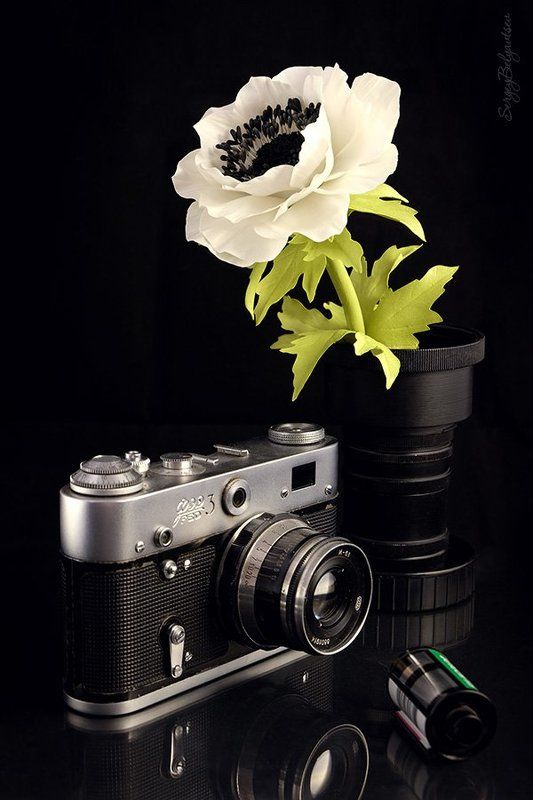 Железный Феликсphoto preview