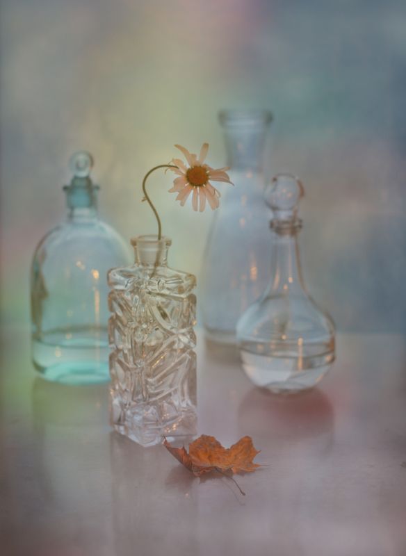 Из этюдника осени.../ноябрь/photo preview