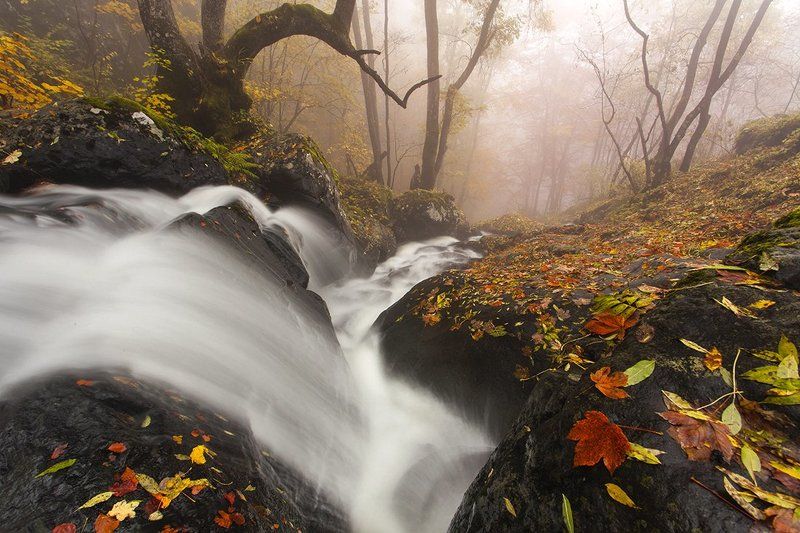 болгария, осень, река Речной Порогphoto preview