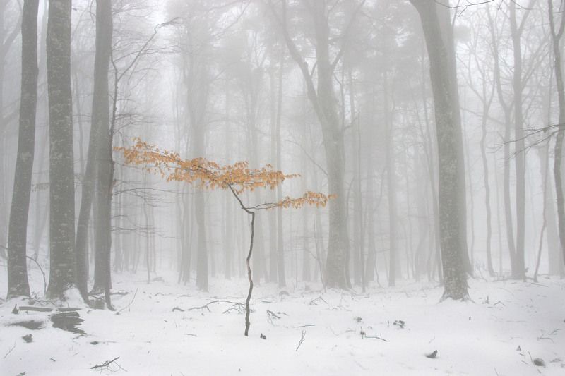 Легко ли быть молодым?photo preview