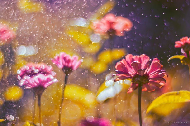 скоро летоphoto preview