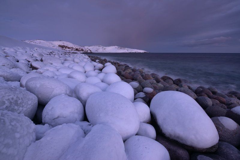 Не все еще вылупились... :) фото превью