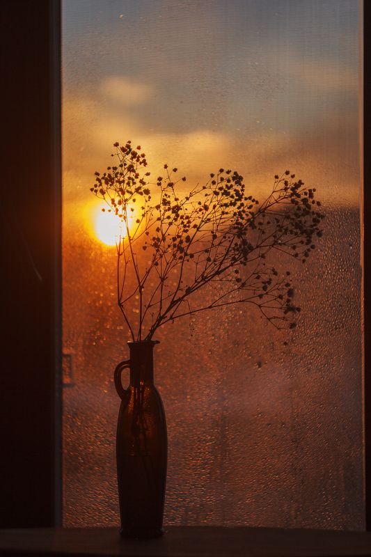 На закатеphoto preview