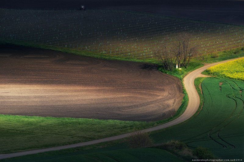 моравия, чехия, пейзаж, республика, весна, зеленый, южная, поле, природа, сельское, хозяйство, пейзажи, сельская, местность, моравский, красивый, фон, луг, страна, поля, ферма, вид, растение, трава, волнистая, пахать, луга, сцена, европа, деревья, свет, д Чехия. Южная Моравия. Ландшафт заповедника Hovoranske loukyphoto preview