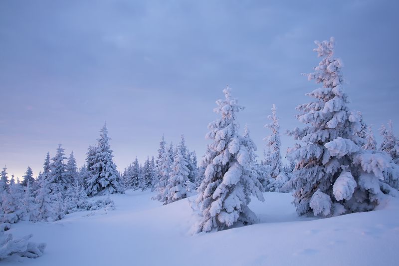 Sunrisephoto preview