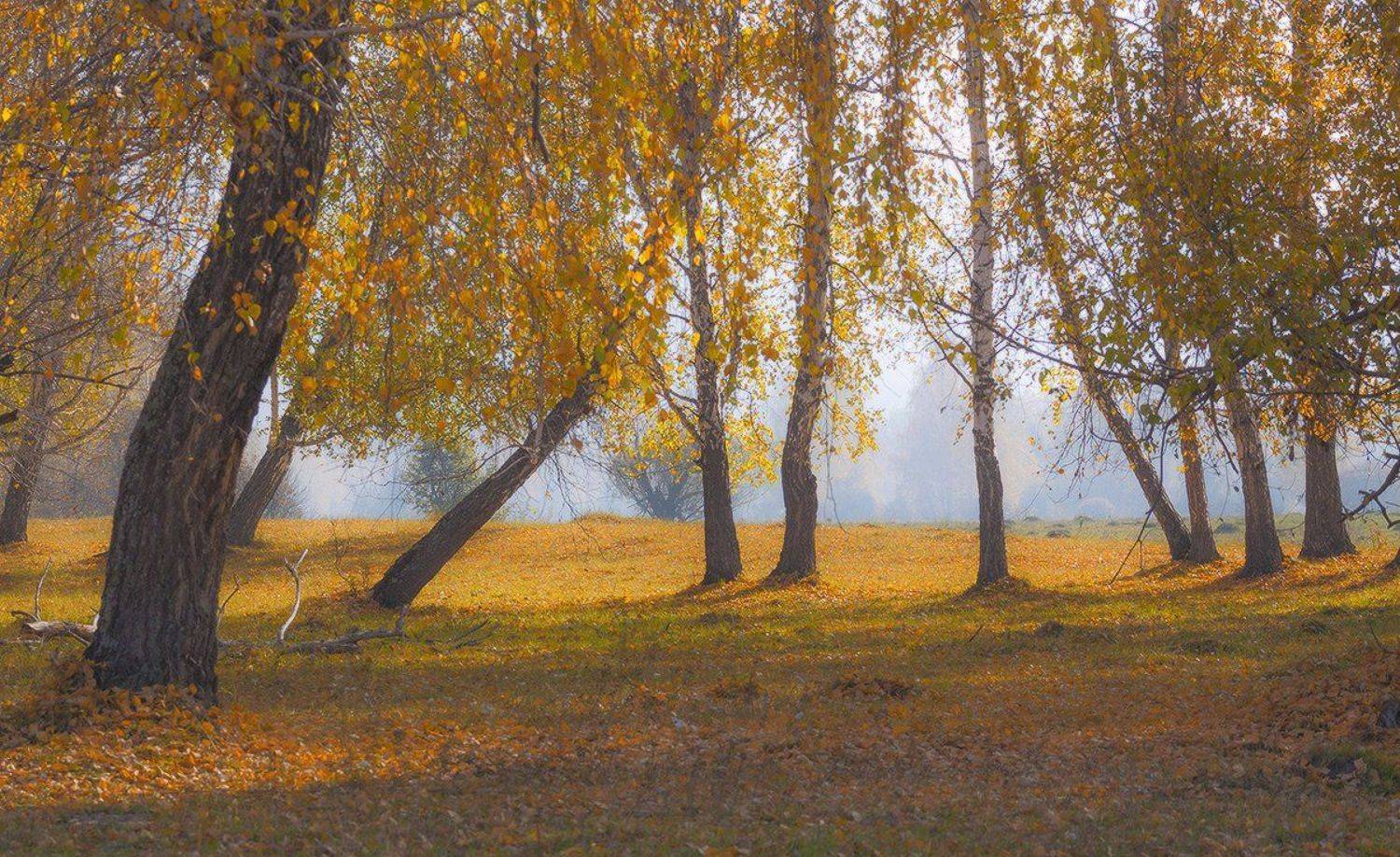 Осень 2016. Автор: Николай Морский , Николай Морский