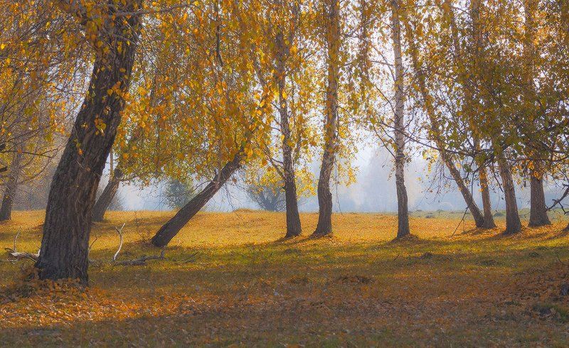 Осень 2016photo preview